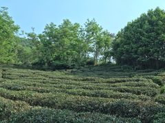 -南京市无想山景区