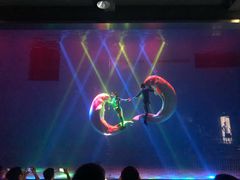 -芜湖新华联大白鲸海洋公园