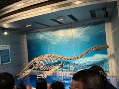 -自贡恐龙博物馆