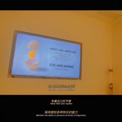 -紫御国际抗衰ZOE ANTI AGING