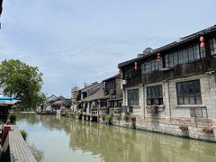 -枫泾丁氏烧卖(枫丽路店)