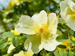 -周口店北京人遗址公园