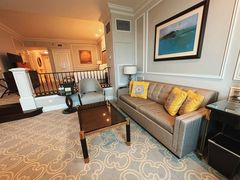 -澳门威尼斯人综合度假区