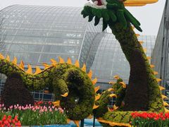 -南山植物园