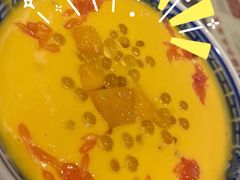 杨枝甘露-捷信牛奶甜品世家(五道口店)