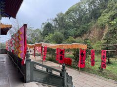 -南宁良凤江国家森林公园