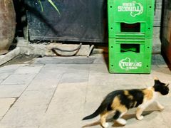 -老地方猫儿面(磁器口店)