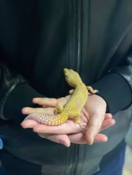 -酷嗒动物文化乐园(cutezoo西溪乐天城店)