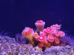 -海合安武汉极地海洋公园