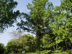 -敬亭山风景名胜区