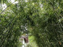 -西安博物院
