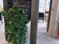 -漫咖啡(中纺国际店)