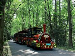 -东平国家森林公园