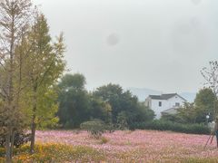 -苏州太湖西山岛开心农场