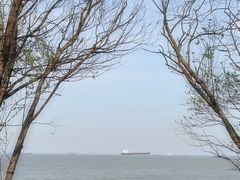 -上海吴淞炮台湾国家湿地公园