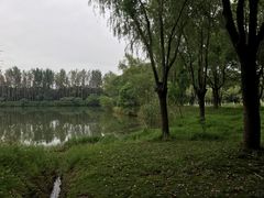 -昆山城市生态森林公园