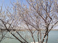 -天津东丽湖风景区