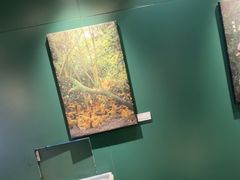 -烹然四季椰子鸡火锅(姚家园万象汇店)