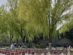 -莲花池公园