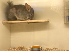 -龙猫仔乐园(惠福东路店)