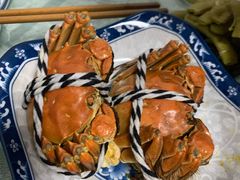 -乡乐园蟹庄·阳澄湖农家乐