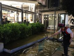 大堂-大理老字号·舟渔的鱼野生菌海景餐厅(双廊店)