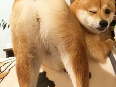 -火锅岛潮牌自助餐厅(天津天佑城店)