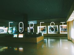 -嘉峪关城市博物馆