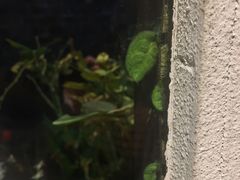 -泰禾馨·泰式按摩精油SPA(华荣大厦店)