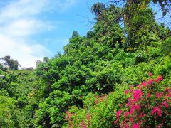 -广州市干部健康管理中心