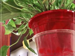 -刘小忙把子肉(北园大街总店)