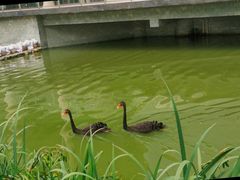 -南京医科大学(江宁校区)