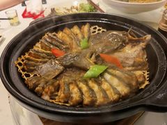 酱香生啫多宝鱼-紫阳海鲜楼·传承闽味(长乐路总店)