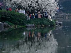 -杭州植物园
