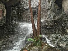 -天目湖山水园