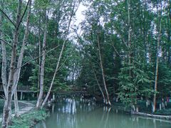 -桤木河湿地公园