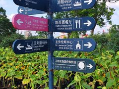 -荷兰花海