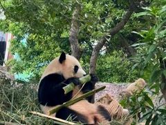 -灵玲国际马戏城