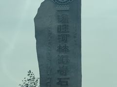 -汤旺河林海奇石景区