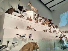 -墨尔本博物馆(Melbourne Museum)