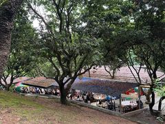 -满記土窑烧鷄波浪山莊