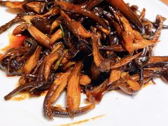葱油鸡枞菌-马头巷·隐庐居·红油大虾(园区店)
