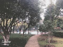 -后襄河公园