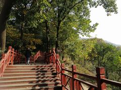 -紫金山山顶公园