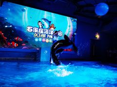-石家庄海洋公园