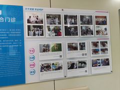 -北京观赏动物医院·24小时大型综合·猫专科·异宠专科