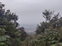 -杭州半山国家森林公园