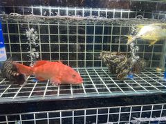 -厨房好味(国贸店)