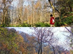-广州市石门国家森林公园