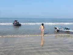 -广东惠东海龟国家级自然保护区